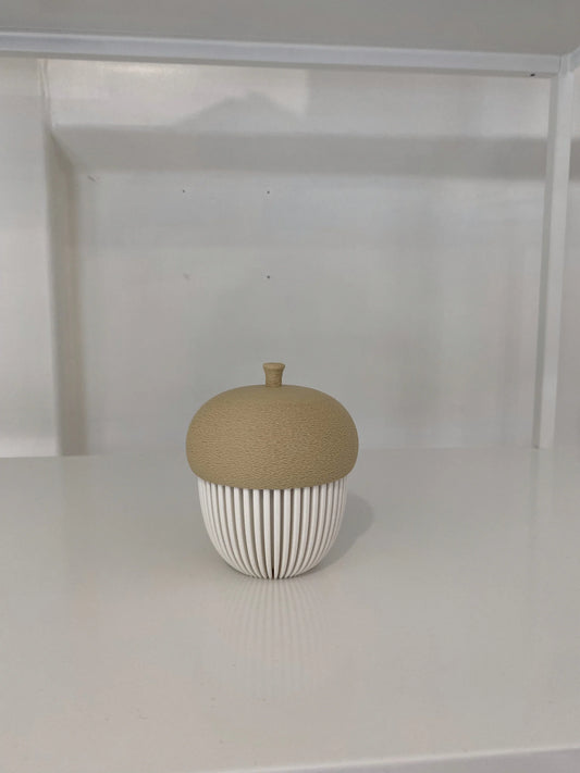 Pot of Acorn